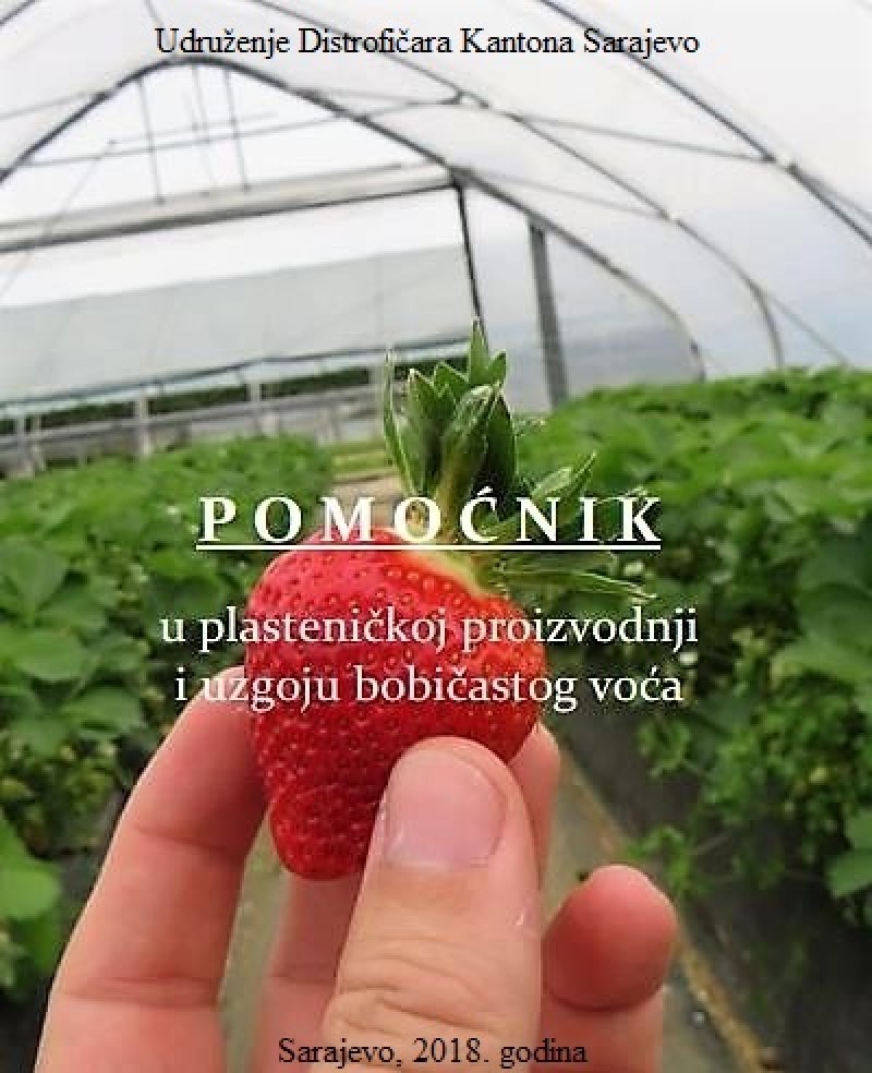 Pomoćnik